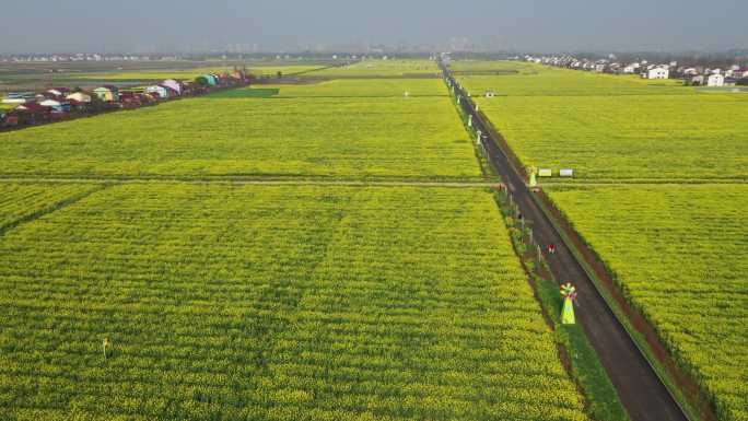 南县乌嘴乡罗文村“罗文涂鸦七彩油菜花海”