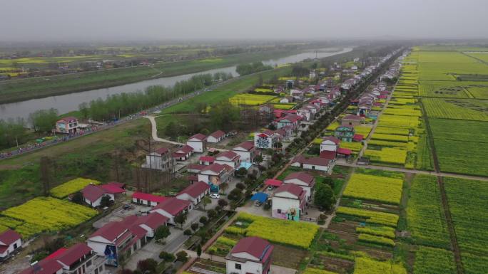 南县乌嘴乡罗文村“罗文涂鸦七彩油菜花海”