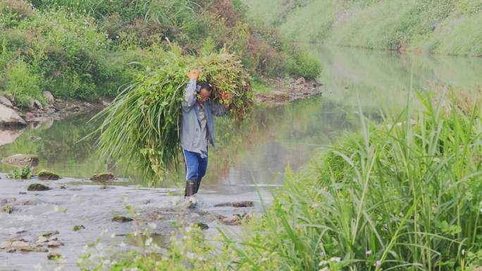 背草的男人