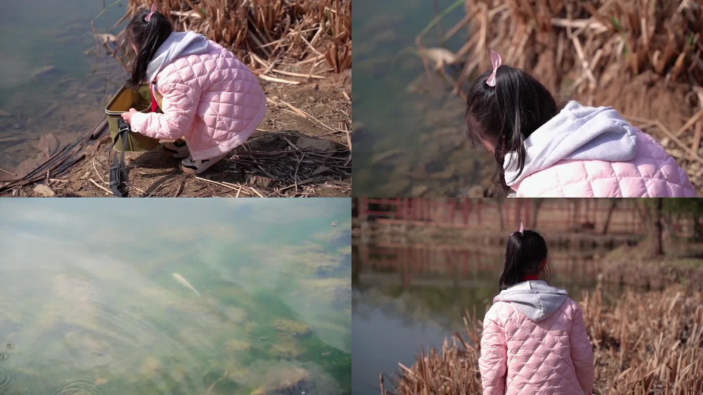 小女孩把鱼放进湖里