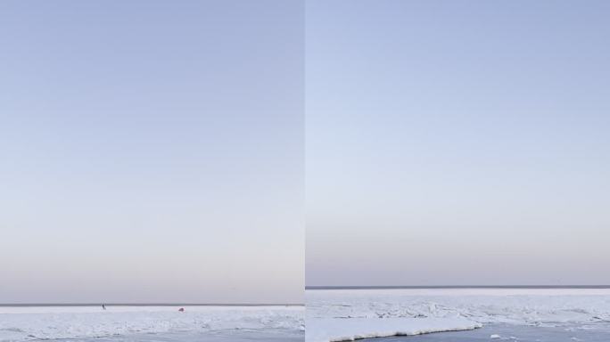 冬季阿那亚冻海上的海鸥
