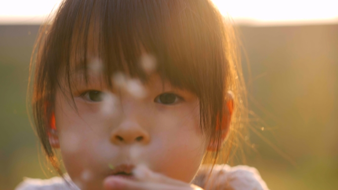 夕阳下小孩田野玩耍吹蒲公英唯美