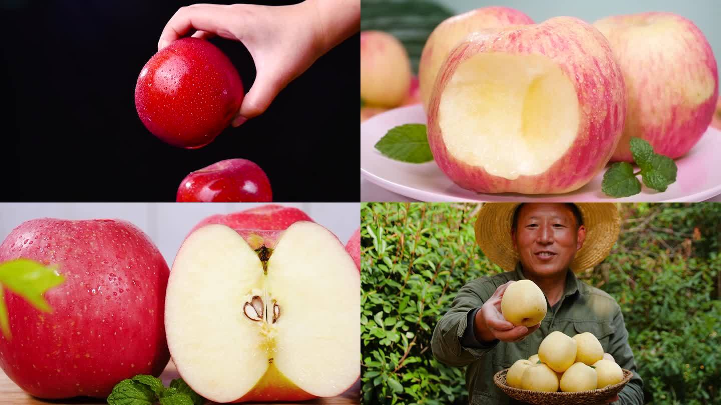 多类苹果