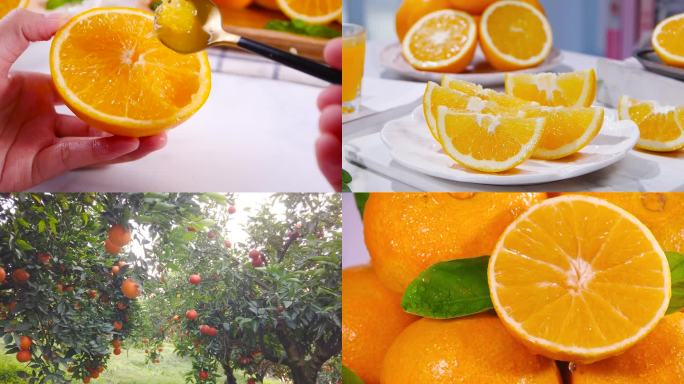 各类橙子