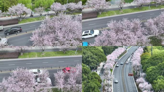 春天的城市公路航拍