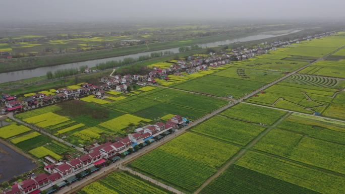 南县乌嘴乡罗文村“罗文涂鸦七彩油菜花海”