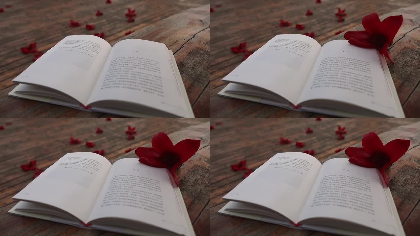 木棉花掉落在书上