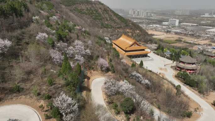 浐灞大阿弥陀寺陕西古寺西安旅游西安古建筑