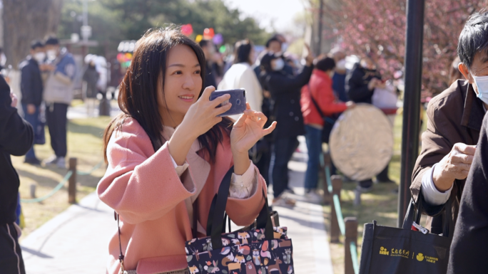 京城梅花节游客观花赏花拍照