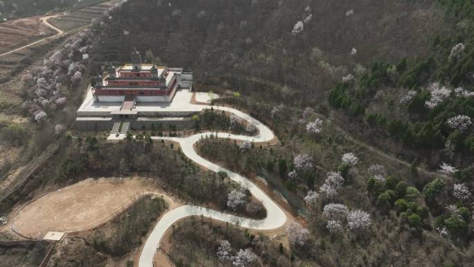 浐灞大阿弥陀寺陕西古寺西安旅游西安古建筑