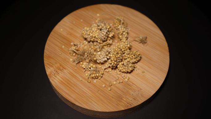 镜头合集黍子粗粮麦子高粱谷物小米黄米1