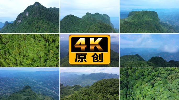 那坡夭皇山原始森林航拍素材