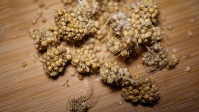 镜头合集黍子粗粮麦子高粱谷物小米黄米2