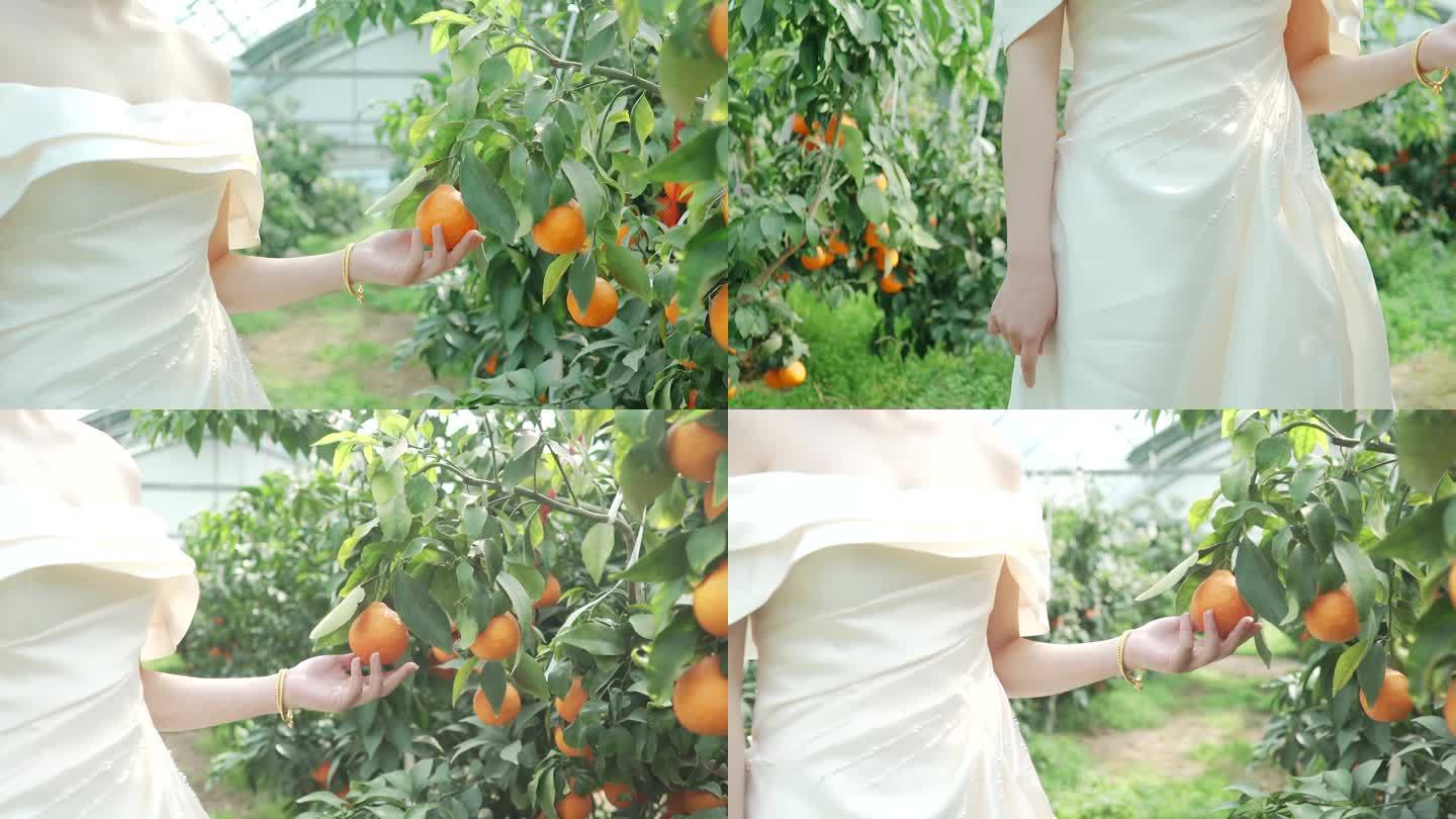 姑娘的手托起柑橘橘子水果宣传片