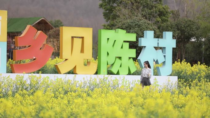 畅游油菜花的美女