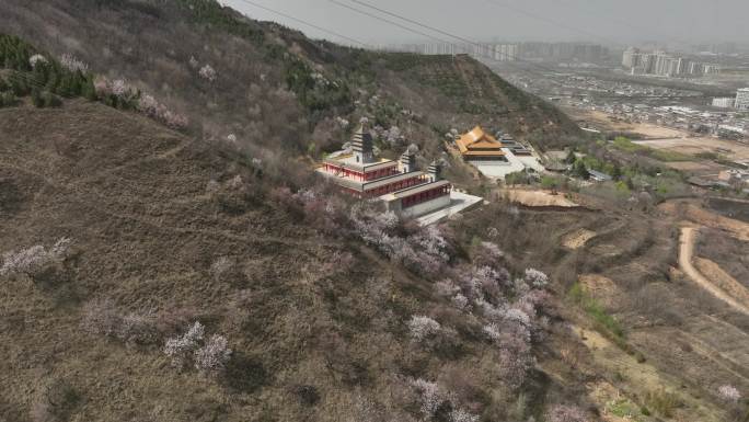 浐灞大阿弥陀寺陕西古寺西安旅游西安古建筑