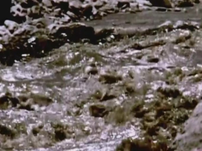 泥石流山洪70年代