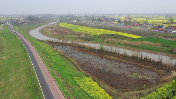 南县乌嘴乡罗文村“罗文涂鸦七彩油菜花海”