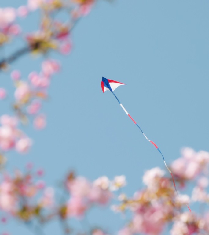 4K春天蓝天花丛中飞翔的风筝垂直画幅合集
