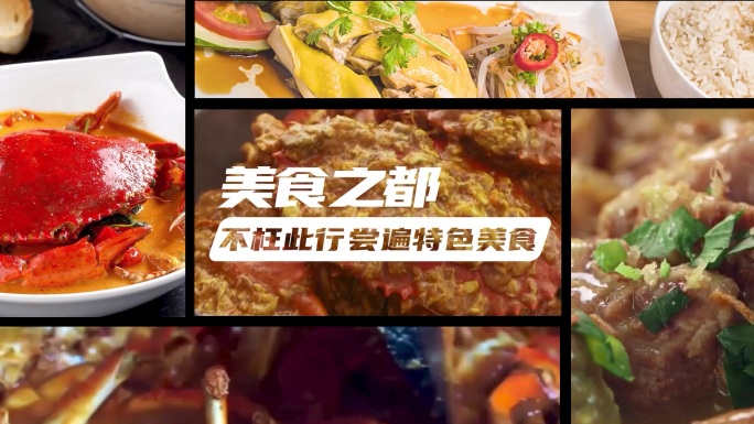 美食之都 旅游 暑假宣传 新加波