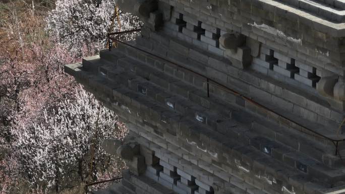 浐灞大阿弥陀寺陕西古寺西安旅游西安古建筑