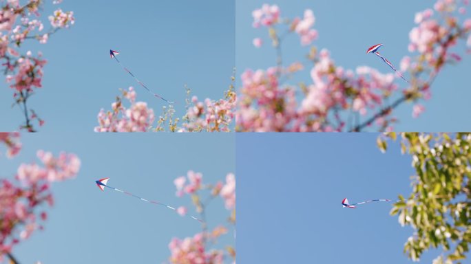 4K春天蓝天花丛中飞翔的风筝合集