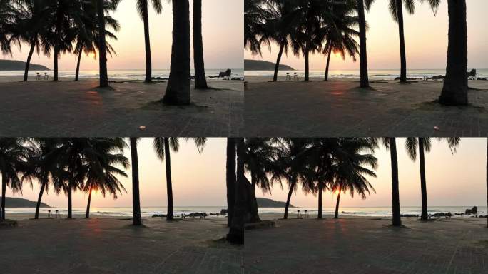 日出海边椰树