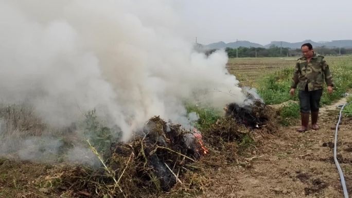 野外烧杂草 点燃杂草 点燃烧杂草