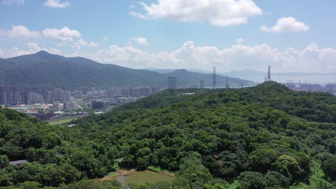 深圳 梧桐山 盐田港 沙头角 盐田航拍