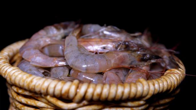 镜头合集小河虾鲜虾大虾淡水虾食材海鲜