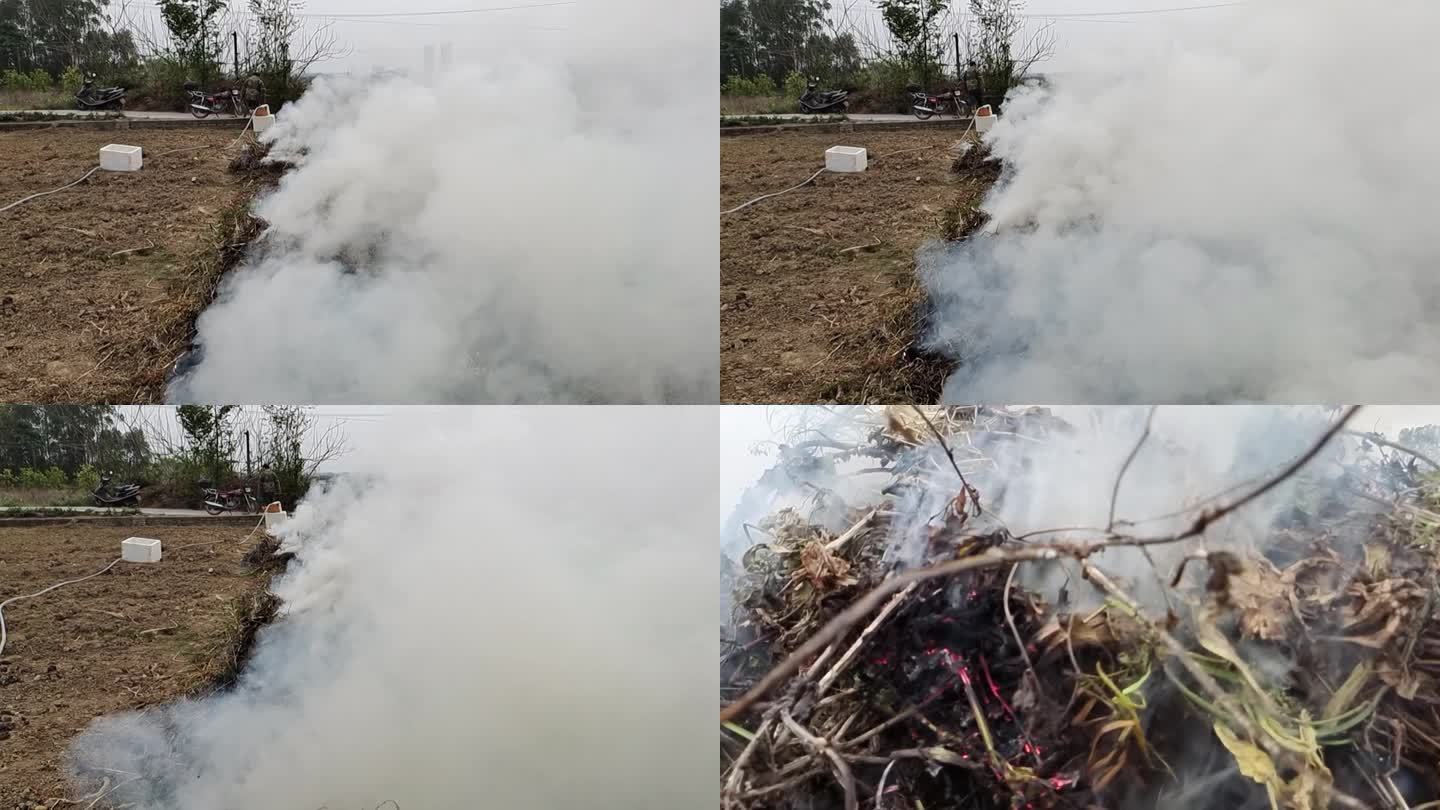 野外烧杂草 点燃杂草 点燃烧杂草