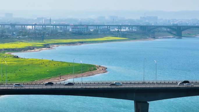 4K湘江边的油菜花田和车流