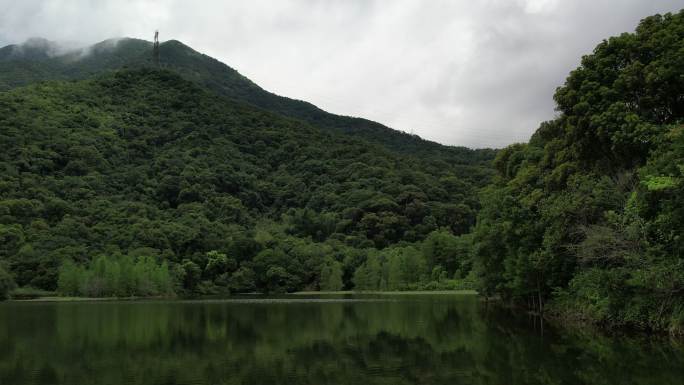 盐田沙头角 梧桐山 恩上湿地 恩上水库