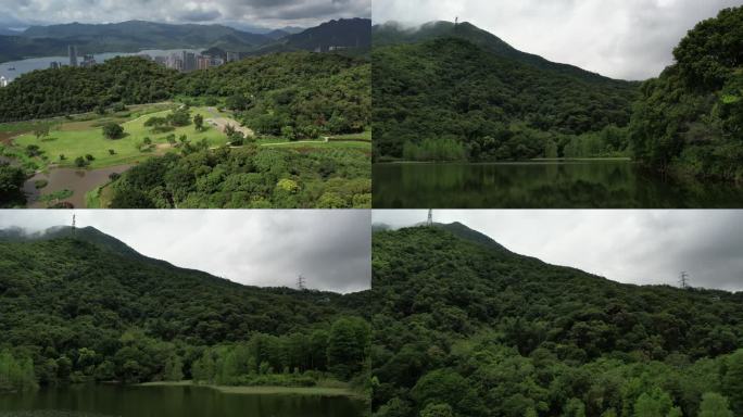 盐田沙头角 梧桐山 恩上湿地 恩上水库