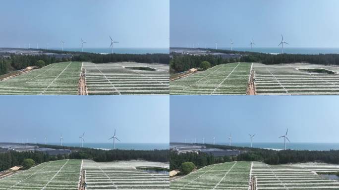 海边风能风力发电风车航拍