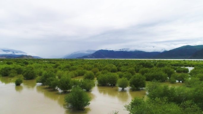 河流 地球 环境 自然 素材 西藏 河