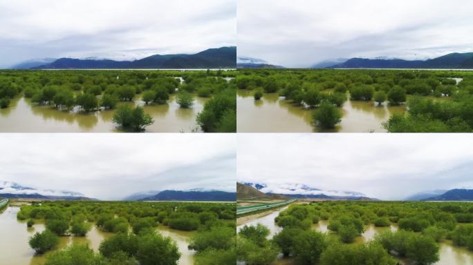 河流 地球 环境 自然 素材 西藏 河