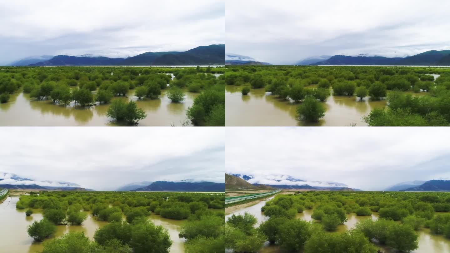 河流 地球 环境 自然 素材 西藏 河