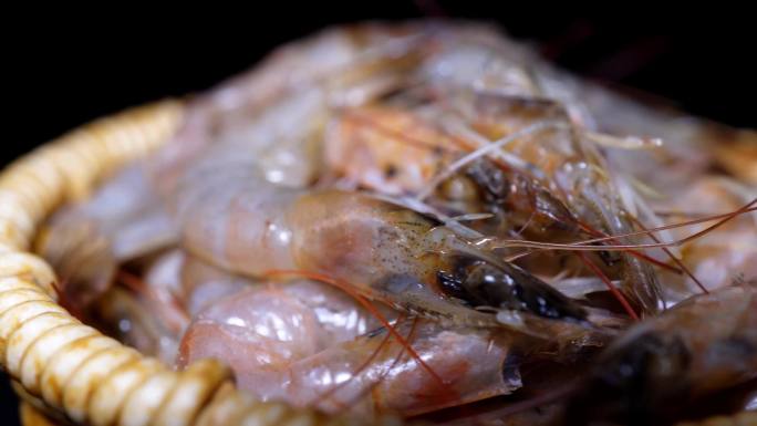 镜头合集小河虾鲜虾大虾淡水虾食材海鲜1