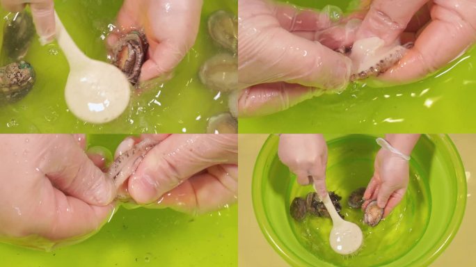 镜头合集小海鲜鲍鱼处理清洗去内脏1
