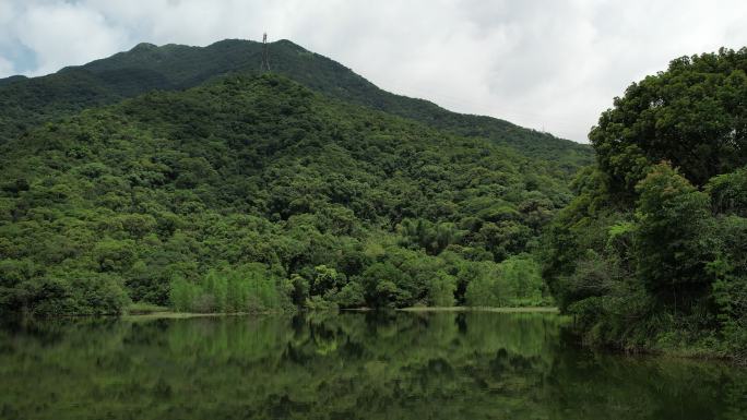 深圳自然 梧桐山 山脉 盐田 沙头角