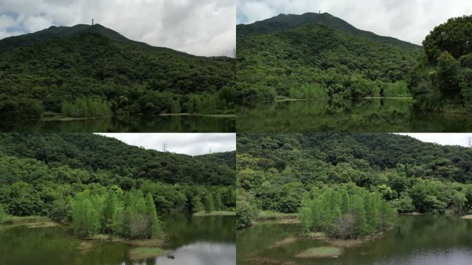 深圳自然 梧桐山 山脉 盐田 沙头角