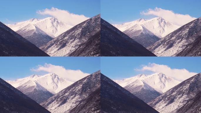 林场雪山云雾景象