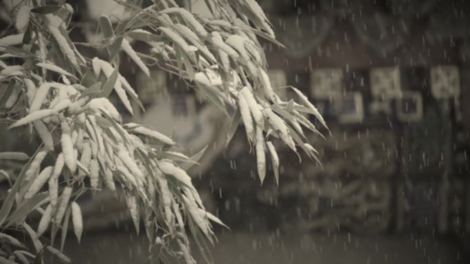 古建筑雪景老视频