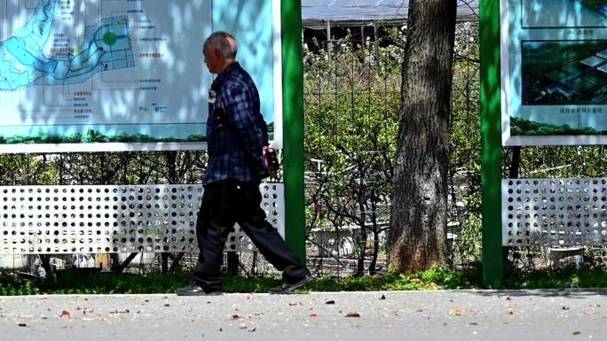 孤独老人在公园里悠闲散步