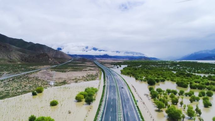 绿化 高原林业 林业局 土地沙化