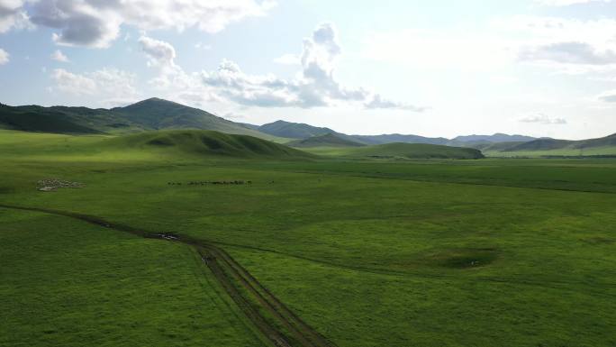 草原骏马