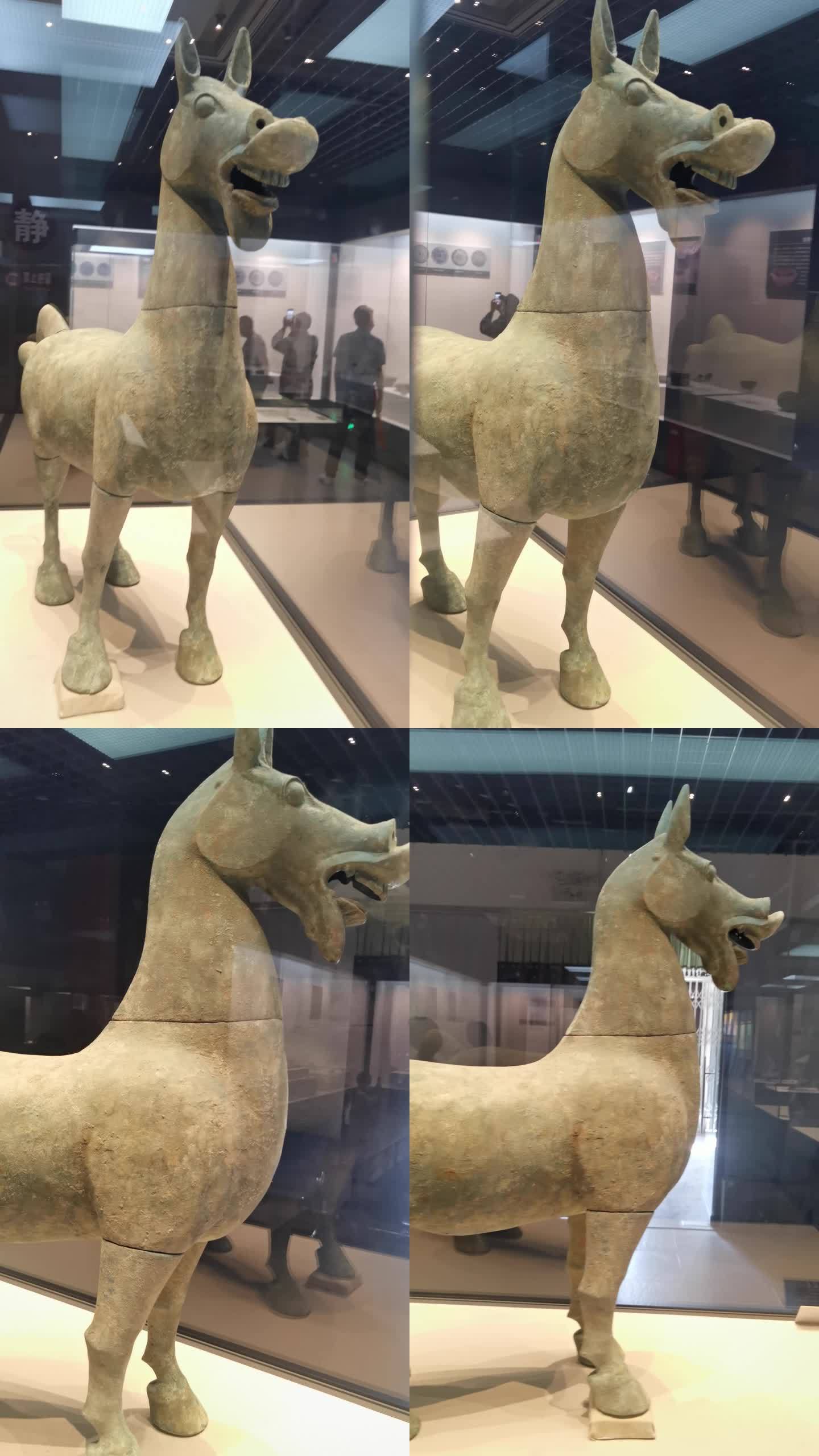 博物馆里的铜马 铜马 龙马精神 青铜马