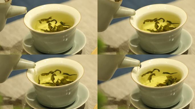 泡茶 日照绿茶