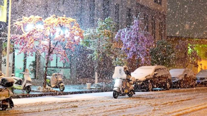 樱花盛开遇雪花飘落